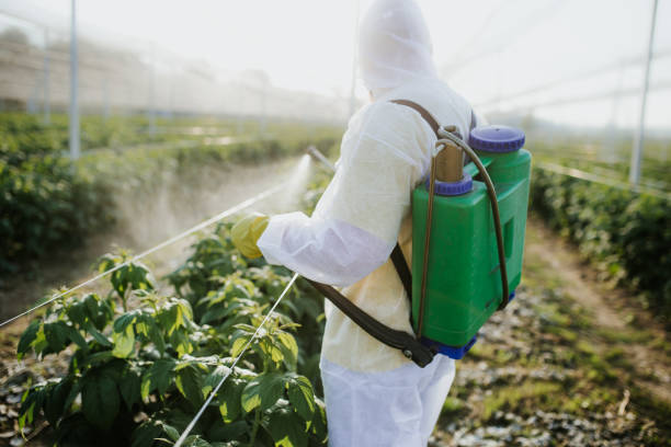 Pest Control for Warehouses in Mantua, VA